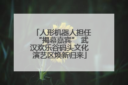 人形机器人担任“揭幕嘉宾” 武汉欢乐谷码头文化演艺区焕新归来