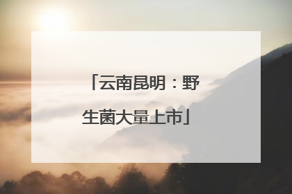云南昆明：野生菌大量上市
