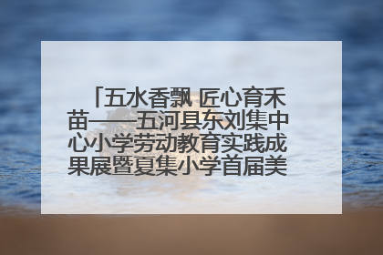 五水香飘 匠心育禾苗——五河县东刘集中心小学劳动教育实践成果展暨夏集小学首届美食节盛大举行