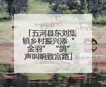 五河县东刘集镇乡村振兴添“金羽” “鸽”声叫响致富路