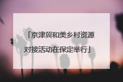 京津冀和美乡村资源对接活动在保定举行
