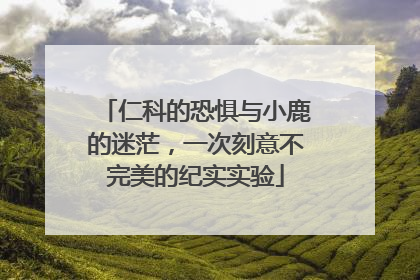 仁科的恐惧与小鹿的迷茫，一次刻意不完美的纪实实验