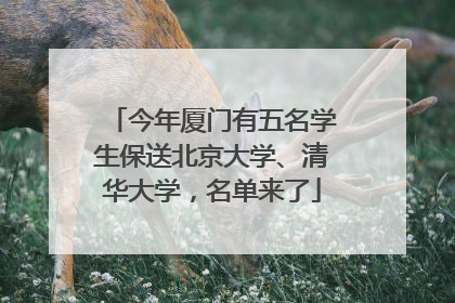 今年厦门有五名学生保送北京大学、清华大学，名单来了