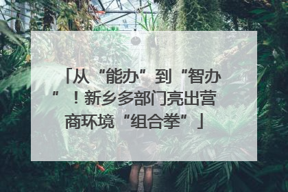 从“能办”到“智办”！新乡多部门亮出营商环境“组合拳”