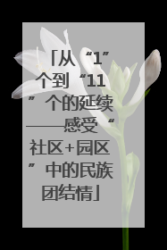 从“1”个到“11”个的延续——感受“社区+园区”中的民族团结情