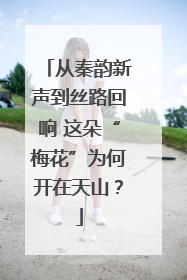 从秦韵新声到丝路回响 这朵“梅花”为何开在天山？