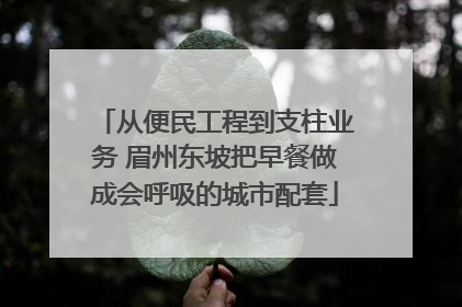 从便民工程到支柱业务 眉州东坡把早餐做成会呼吸的城市配套
