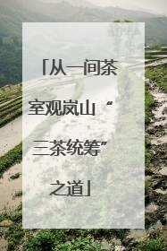 从一间茶室观岚山“三茶统筹”之道