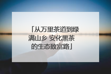 从万里茶道到绿满山乡 安化黑茶的生态致富路