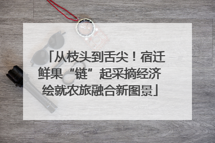 从枝头到舌尖！宿迁鲜果“链”起采摘经济绘就农旅融合新图景