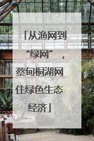 从渔网到“绿网”，蔡甸桐湖网住绿色生态经济