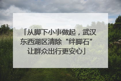 从脚下小事做起，武汉东西湖区清除“绊脚石”让群众出行更安心
