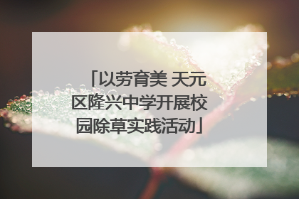 以劳育美 天元区隆兴中学开展校园除草实践活动