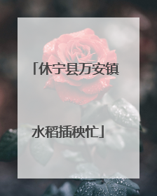 休宁县万安镇水稻插秧忙