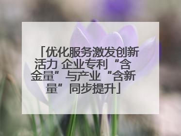 优化服务激发创新活力 企业专利“含金量”与产业“含新量”同步提升