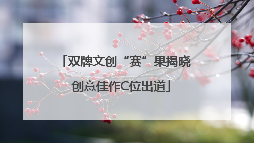 双牌文创“赛”果揭晓 创意佳作C位出道