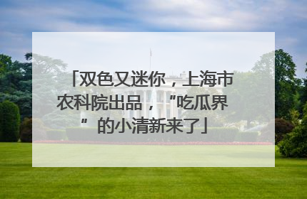 双色又迷你，上海市农科院出品，“吃瓜界”的小清新来了