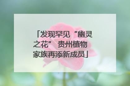 发现罕见“幽灵之花” 贵州植物家族再添新成员