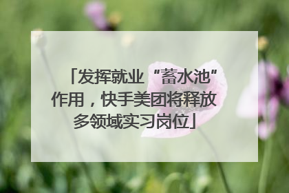 发挥就业“蓄水池”作用，快手美团将释放多领域实习岗位