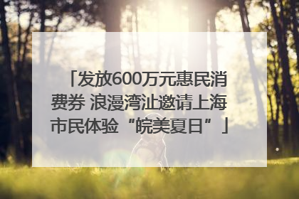 发放600万元惠民消费券 浪漫湾沚邀请上海市民体验“皖美夏日”