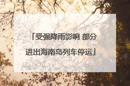 受强降雨影响 部分进出海南岛列车停运