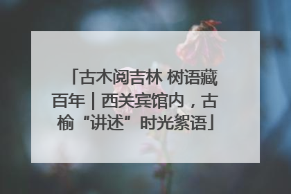 古木阅吉林 树语藏百年｜西关宾馆内，古榆“讲述”时光絮语