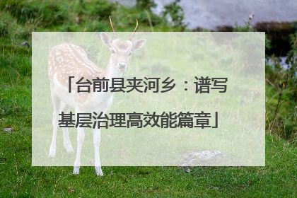台前县夹河乡：谱写基层治理高效能篇章