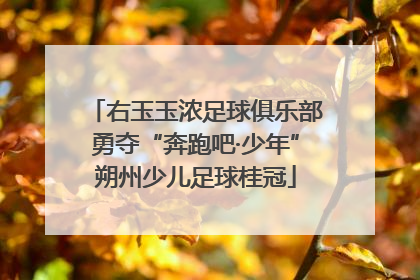 右玉玉浓足球俱乐部勇夺“奔跑吧·少年”朔州少儿足球桂冠
