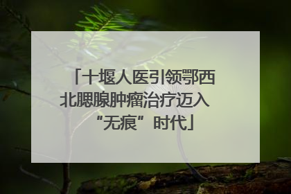 十堰人医引领鄂西北腮腺肿瘤治疗迈入“无痕”时代