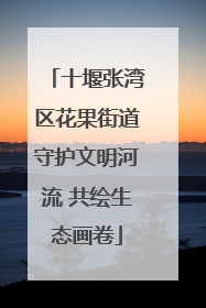 十堰张湾区花果街道守护文明河流 共绘生态画卷