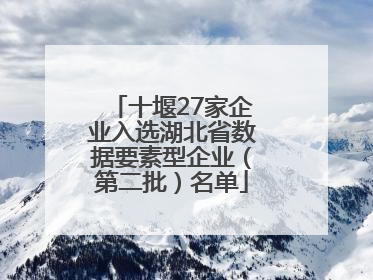 十堰27家企业入选湖北省数据要素型企业（第二批）名单