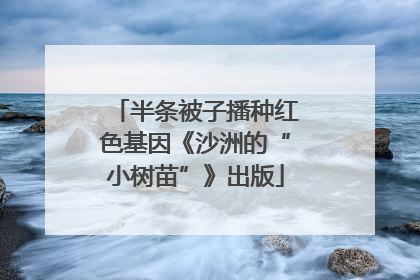 半条被子播种红色基因《沙洲的“小树苗”》出版