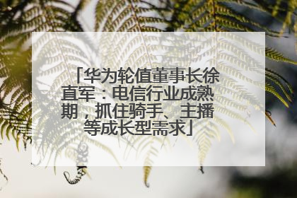 华为轮值董事长徐直军：电信行业成熟期，抓住骑手、主播等成长型需求