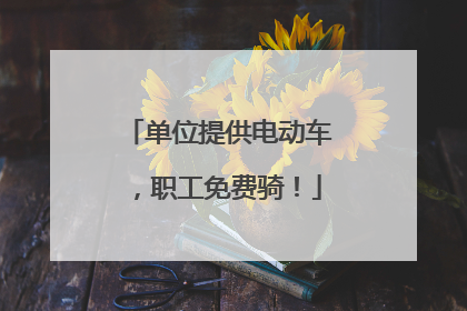 单位提供电动车，职工免费骑！