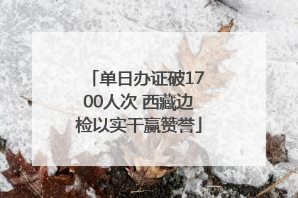 单日办证破1700人次 西藏边检以实干赢赞誉
