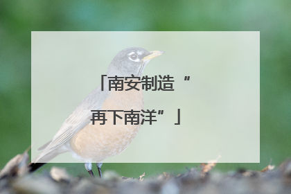 南安制造“再下南洋”
