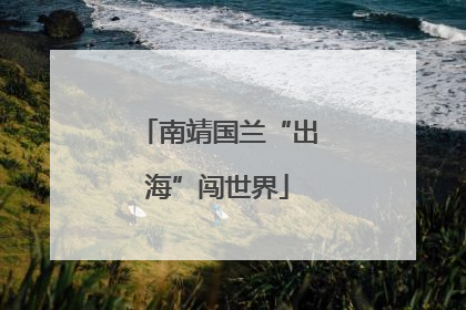 南靖国兰“出海”闯世界