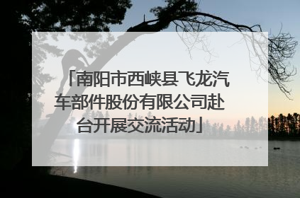 南阳市西峡县飞龙汽车部件股份有限公司赴台开展交流活动