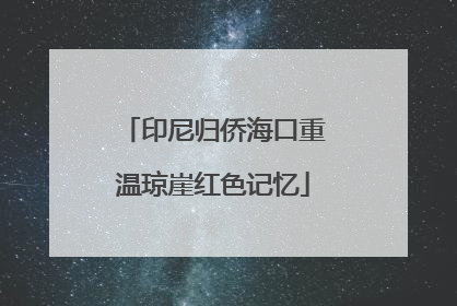 印尼归侨海口重温琼崖红色记忆