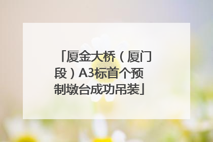 厦金大桥（厦门段）A3标首个预制墩台成功吊装