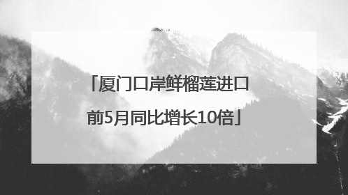 厦门口岸鲜榴莲进口 前5月同比增长10倍