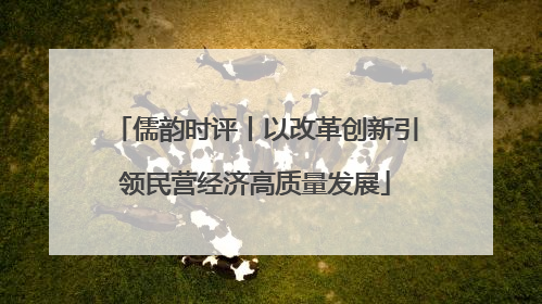 儒韵时评丨以改革创新引领民营经济高质量发展
