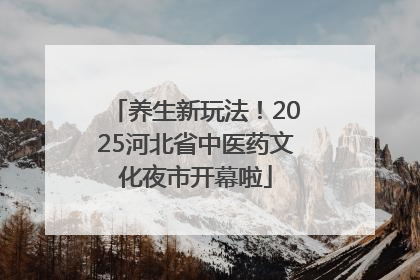 养生新玩法！2025河北省中医药文化夜市开幕啦