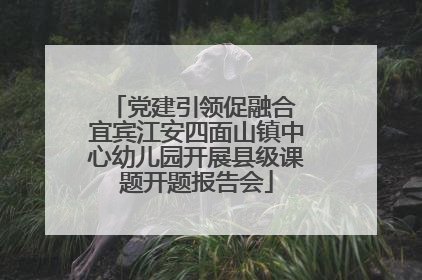 党建引领促融合 宜宾江安四面山镇中心幼儿园开展县级课题开题报告会