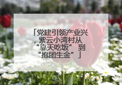 党建引领产业兴，紫云小湾村从 “靠天吃饭” 到 “抱团生金”