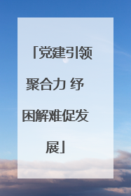 党建引领聚合力 纾困解难促发展