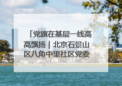 党旗在基层一线高高飘扬｜北京石景山区八角中里社区党委：用脚步丈量民生