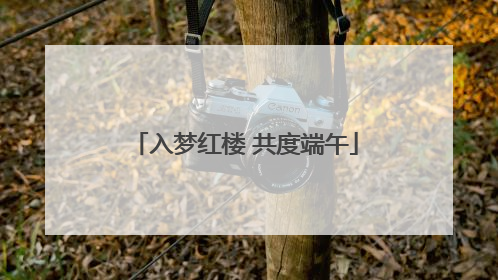 入梦红楼 共度端午