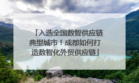 入选全国数智供应链典型城市！成都如何打造数智化外贸供应链
