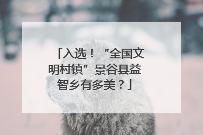 入选！“全国文明村镇”景谷县益智乡有多美？